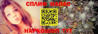 спиды Будённовск